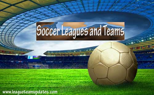 Football (Soccer)/The Leagues and Teams Logos URL Available